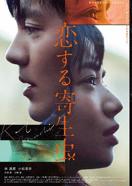 幻册迷途 电影 2024